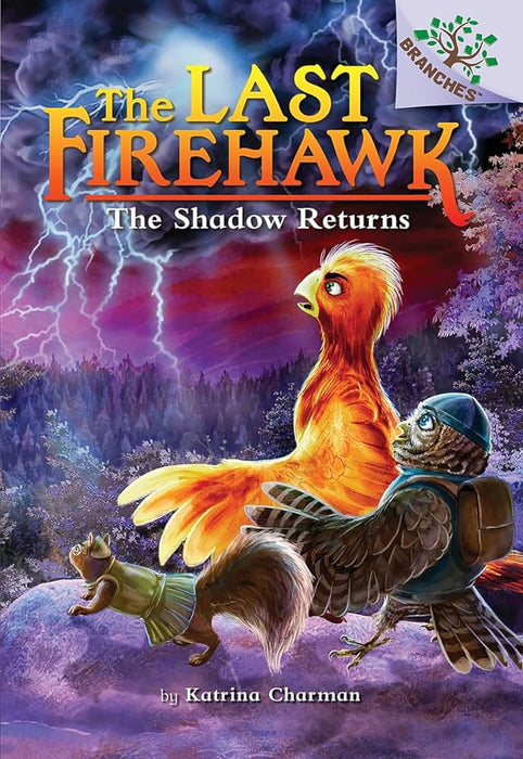 The  Shadow Returns  book -12