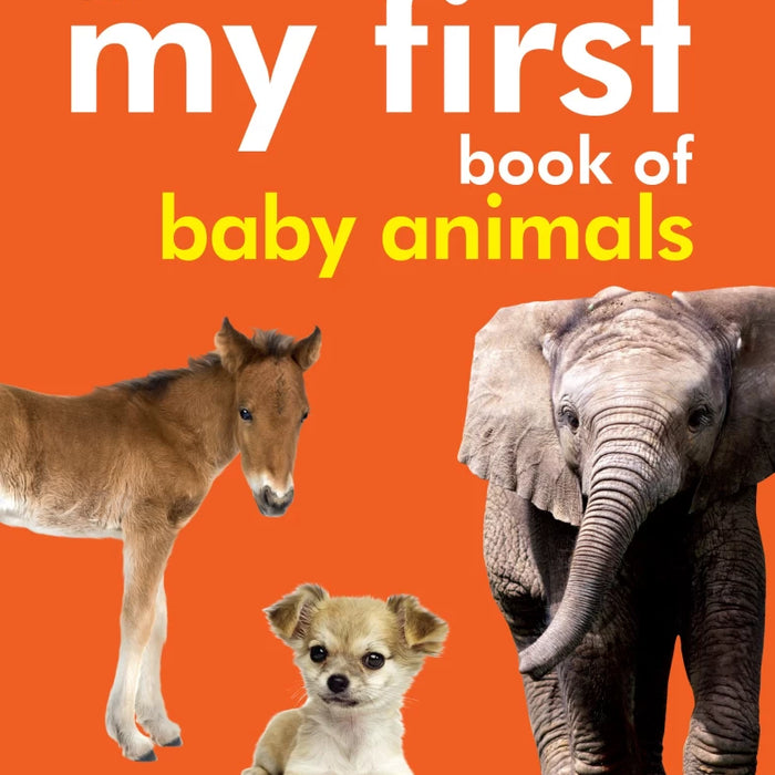 My First Book of Baby Animals