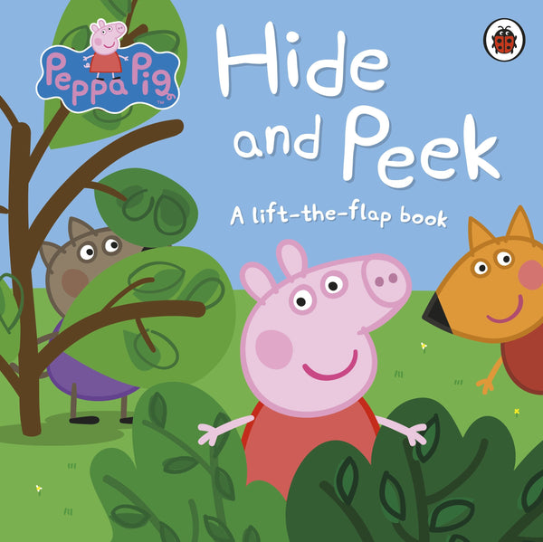 Hide  and Seek