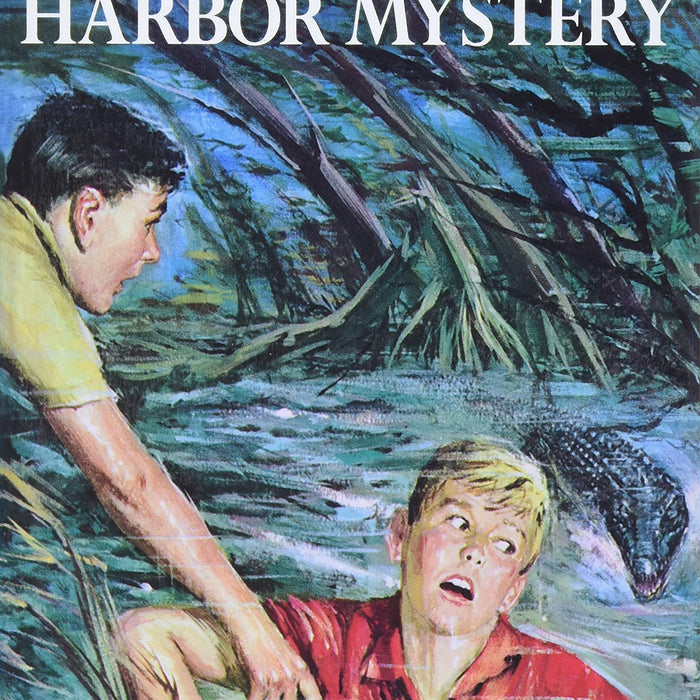 The  Hidden Harbor  Mystery -  14