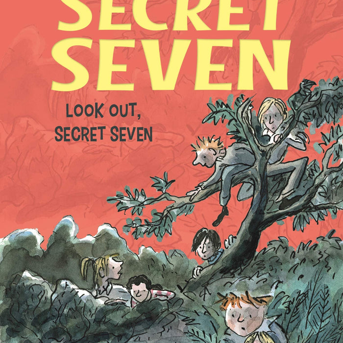 The Secret Seven Look Out, Secret Seven book-14