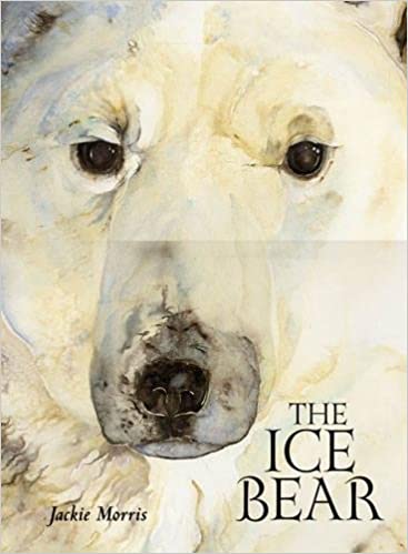 The  Ice  Bear