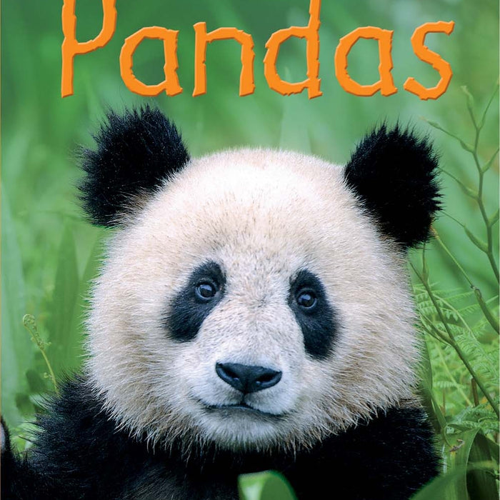 Usborne Begginers - Pandas