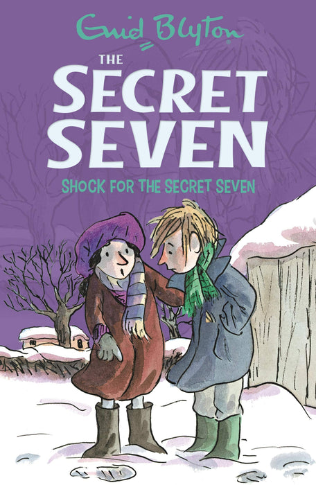 The Secret Seven Shock For The Secret Seven book-13