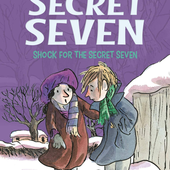 The Secret Seven Shock For The Secret Seven book-13