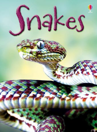 Usborne Begginers - Snakes