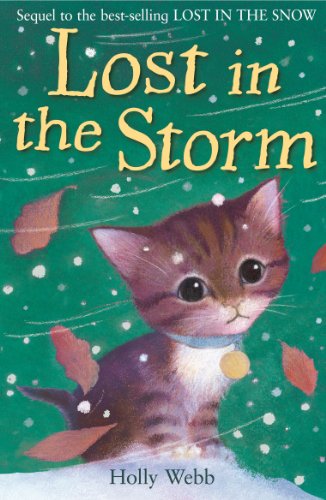 Lost In The Storm