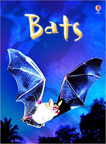 Usborne Beggibners - Bats