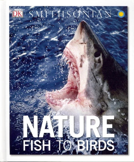 Nature Fish To Birds