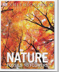 Nature Fossils To Flowers