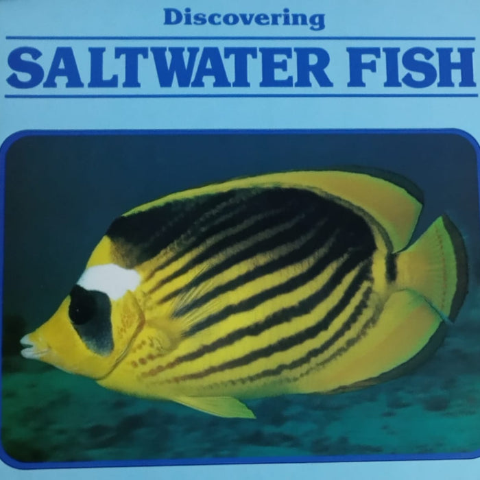 Discovering Saltwater Fish