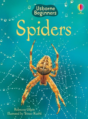 Usborne Begginers - Spiders